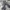 Issey Miyake Y2K Avant Garde Pleated skirt Wanita gray photo 3