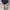 VANS Streetwear Formal pants Pria tan photo 4
