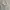 Fruit of the Loom Casual Hoody Pria white photo 2