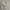 Fruit Of The Loom Casual Hoody Pria White