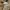 Element Casual Hoody Pria tan photo 7