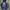 Nike Gorpcore Puffer jacket Pria navy blue photo 1