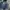 Nike Gorpcore Puffer jacket Pria navy blue photo 2