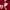Nike Casual Hoody Pria red photo 7
