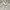 Champion Streetwear Casual Track jacket Pria silver photo 2