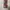 Cosplay Minimalist Wanita multicolor photo 2