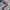 VANS Streetwear Skater Sneakers Pria white black photo 5