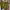 Spao Vintage Skater Polo shirt Pria navy yellow photo 1