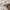 Adidas Streetwear Casual Hoody Pria white photo 6