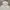 Adidas Streetwear Casual Hoody Pria white photo 2
