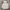 Adidas Streetwear Casual Hoody Pria white photo 1