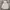 Adidas Streetwear Casual Hoody Pria White