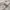 Adidas Streetwear Casual Hoody Pria white photo 5