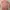 Luxury Kebaya Wanita multicolor photo 2