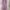 Luxury Kebaya Wanita multicolor photo 1
