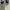 Adidas Vintage Y2K Pria gold white photo 2