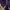 Converse Casual Hoody Pria purple blue photo 3