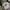 Dickies Vintage Casual T-shirt Pria white photo 2