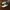 Nike Streetwear Sportswear Sneakers Pria Cream