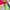 Indie Hoody Pria multicolor photo 3