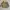 Indie Puffer jacket Pria multicolor tan photo 1
