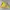 Vintage Sportswear Windbreaker Pria yellow photo 4