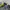 Vintage Sportswear Windbreaker Pria black yellow photo 7