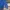 Eddie Bauer Casual Sweatshirt Pria Blue