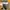Skater Cosplay Suit Pria black yellow photo 5