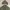ZARA Vintage Y2K Windbreaker Pria green photo 8