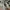 Nike Air Jordan Streetwear Reworked Sneakers Pria white tan photo 1