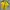 Sportswear Jersey Pria yellow photo 1