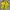 Sportswear Jersey Pria Yellow