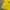Sportswear Jersey Pria yellow photo 5