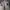 Adidas Streetwear Sportswear Sneakers Pria white photo 3