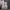 Adidas Streetwear Sportswear Sneakers Pria white photo 4