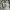 Beams Vintage Avant Garde Casual pants Pria gray photo 3