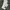 Beams Vintage Avant Garde Casual pants Pria gray photo 4