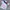 Adidas Sportswear Jersey Pria white photo 1