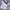 Adidas Sportswear Jersey Pria White