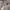 LAINE Casual Formal shirt Pria cream photo 4