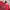 Vintage Hoody Pria red gray photo 2