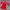 Adidas Sportswear Jersey Pria red photo 1