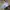 Casual Harrington jacket Pria tan cream photo 7