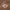 Carhartt Streetwear Denim jacket Pria brown photo 5