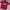 Lotto Sport Italia Sportswear Jersey Pria red black photo 1