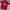 Lotto Sport Italia Sportswear Jersey Pria Red Black