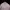 Lyle & Scott Casual Harrington jacket Pria white tan photo 2