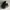 Nike Streetwear Gorpcore Sneakers Pria Black