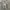 Adidas Casual Hoody Pria white gray photo 1